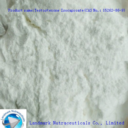 Testosterone isocaproate